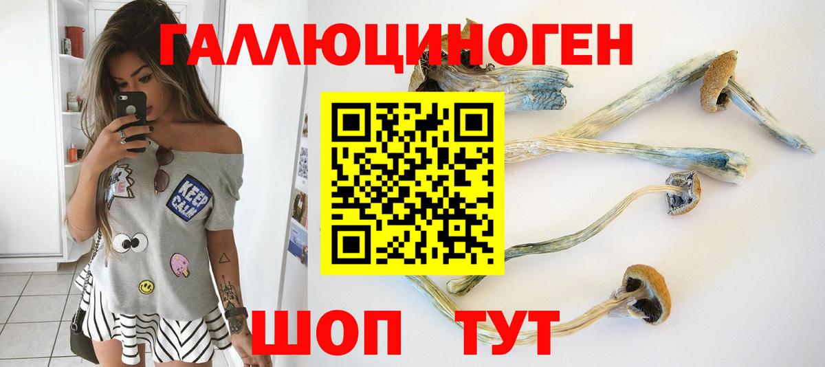 Омск  Псилоцибиновые грибы MAGIC MUSHROOMS  Вход с VPN  Псилоцибиновые грибы ЛСД 