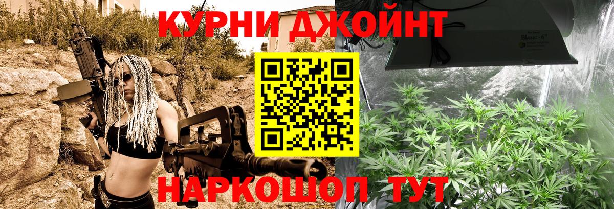 Конопля сатива Омск